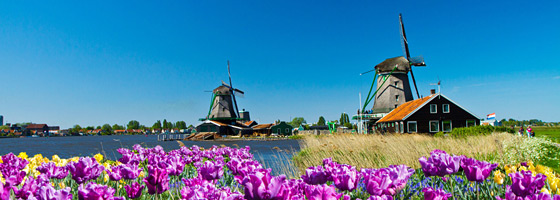 Windmühlen bei Kinderdijk, Südholland