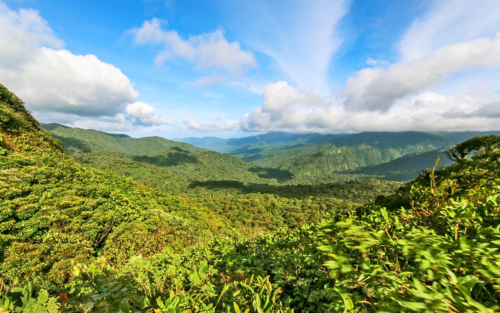 Costa Rica - Monteverde